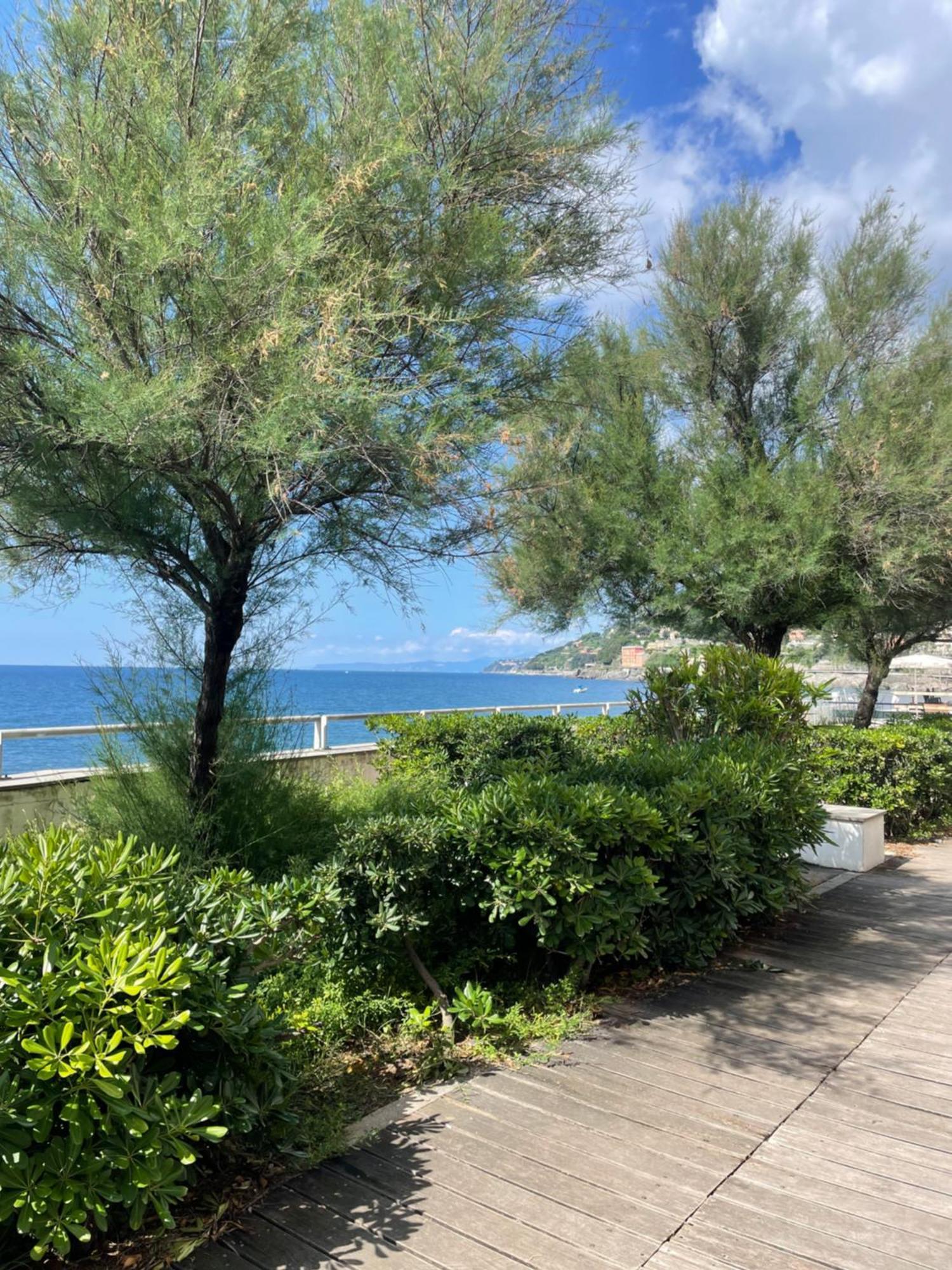 Apartment Sea La Vie *